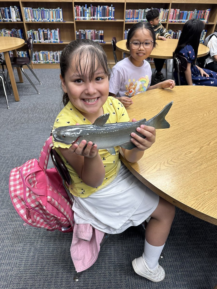 Ms. 🐝 tweet media