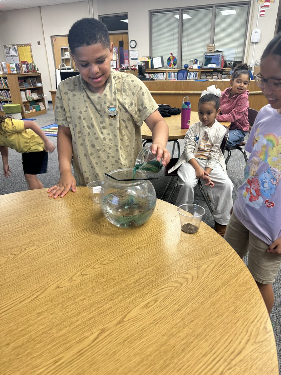 Ms. 🐝 tweet media