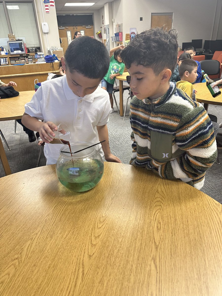 Ms. 🐝 tweet media