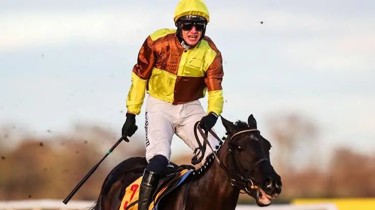 JimmyN554's tweet photo. 🚨🚨Galopin Des Champs is ruled out of the Cheltenham gold cup https://t.co/x8LhAUdVh1