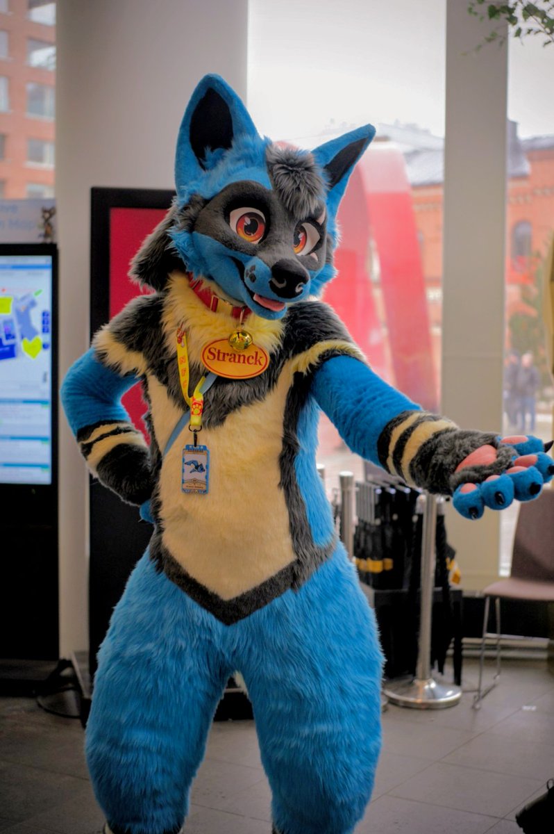 RedWing Lu 🔜 Furizon tweet media