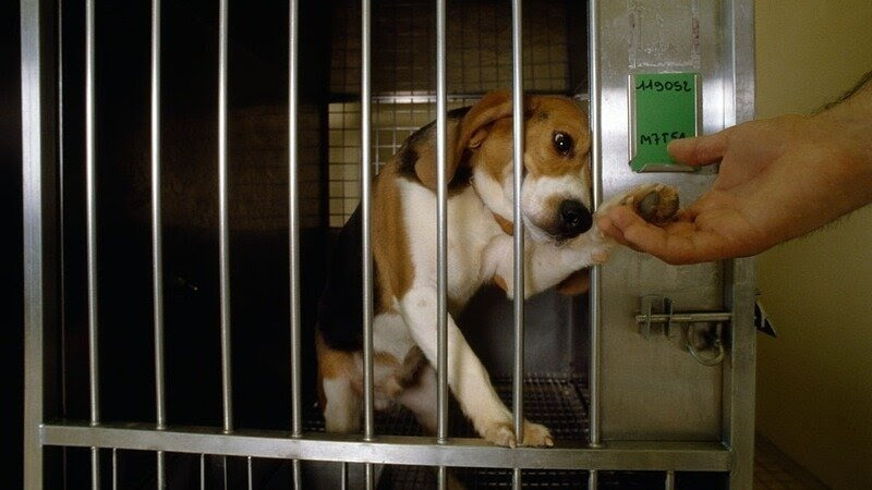 Lisa Paron tweet media