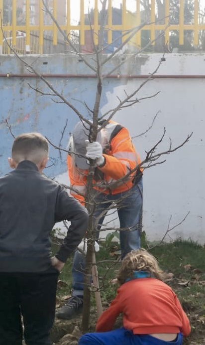 CEIP Claudio Sánchez Albornoz (Alcorcón) tweet media