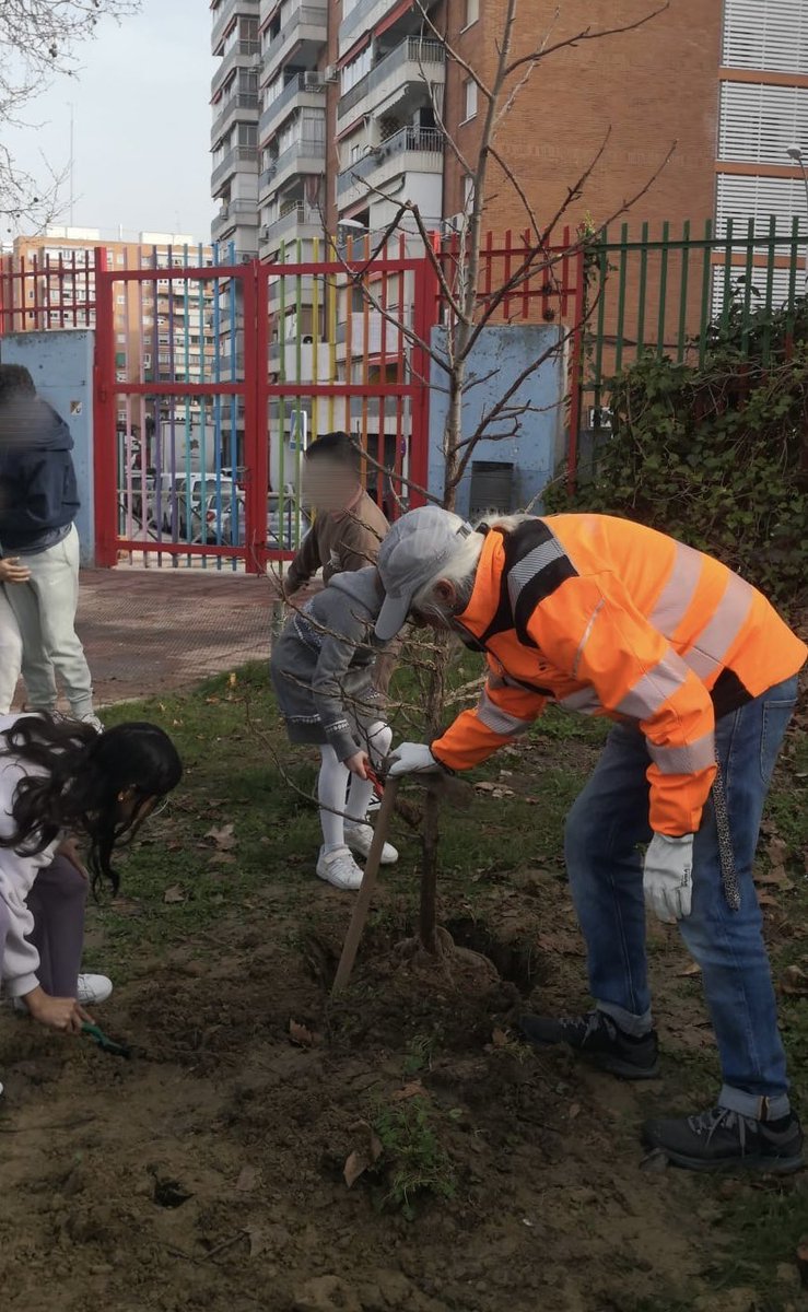 CEIP Claudio Sánchez Albornoz (Alcorcón) tweet media