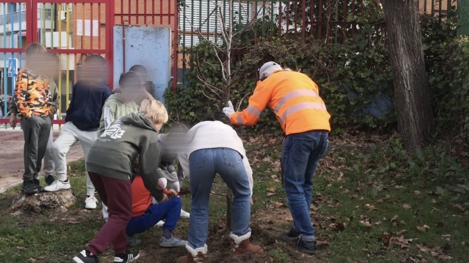 CEIP Claudio Sánchez Albornoz (Alcorcón) tweet media