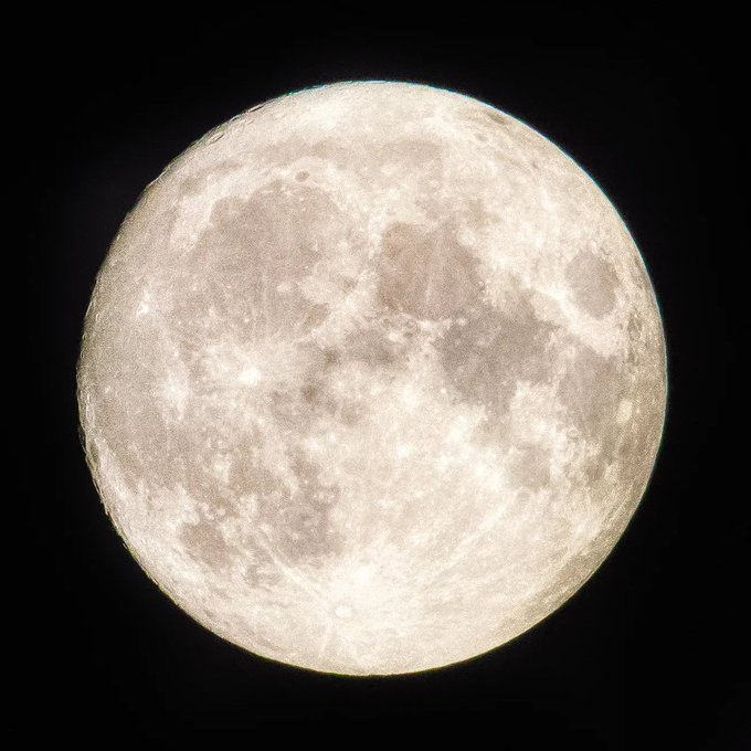 gündemio tweet media