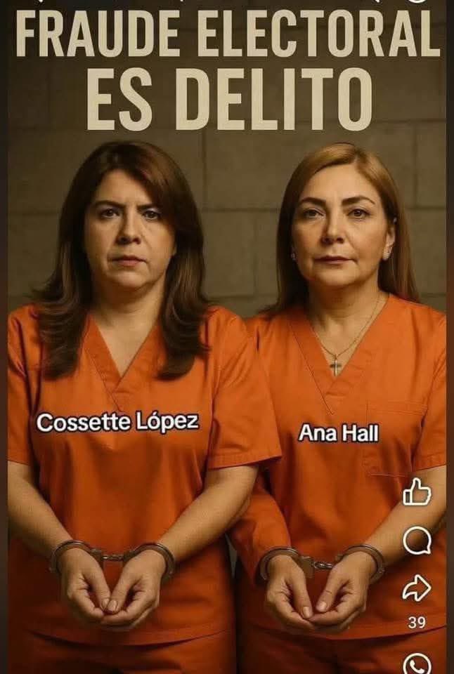 No te da Vergüenza Rata, Corrupta, Delincuente, cual Democracia defendiste si lo que hicieron fue Robarle  las Elecciones a <a href="/SalvaPresidente/">Salvador Nasralla</a>, pero nunca se escaparan de la Justicia, más temprano que tarde les llegará, por ese Crimen Electoral que cometieron, par de Ladronas.
