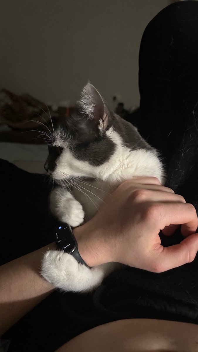 Їкселик tweet media