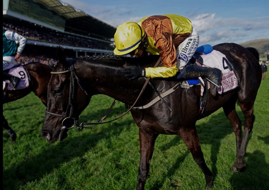 Owen🐎 tweet media