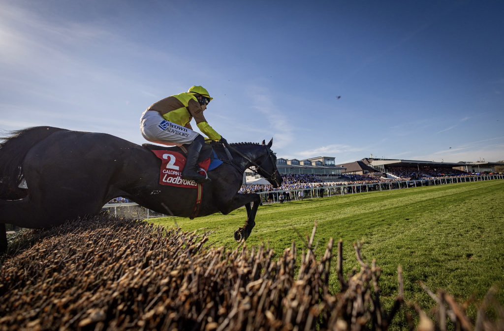 Owen🐎 tweet media