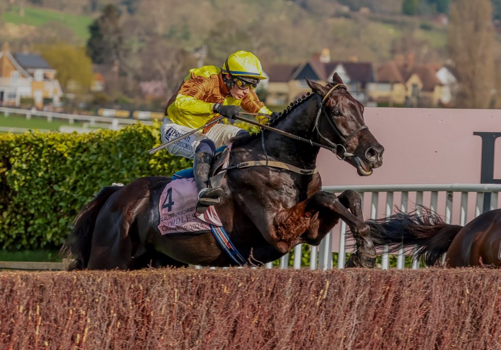 Owen🐎 tweet media