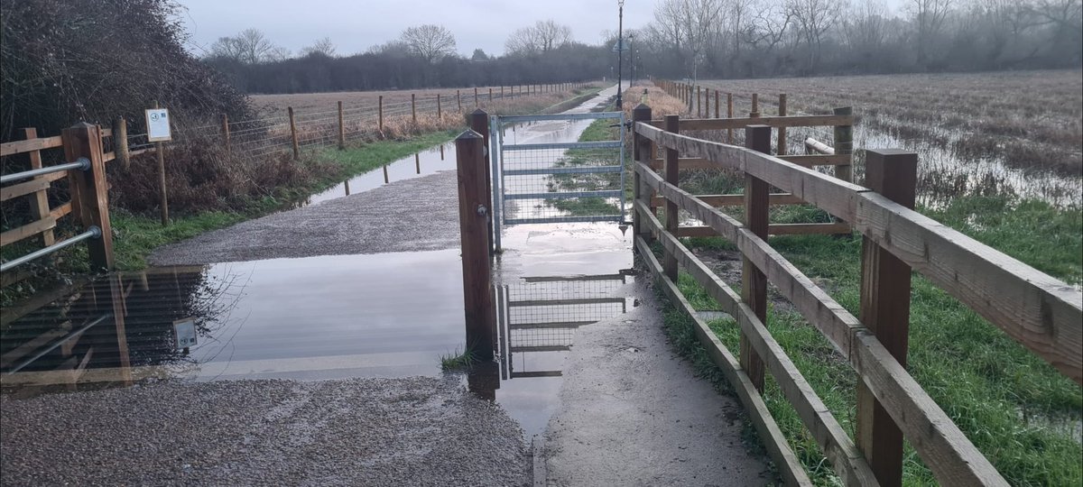 Reconnecting Oxford tweet media