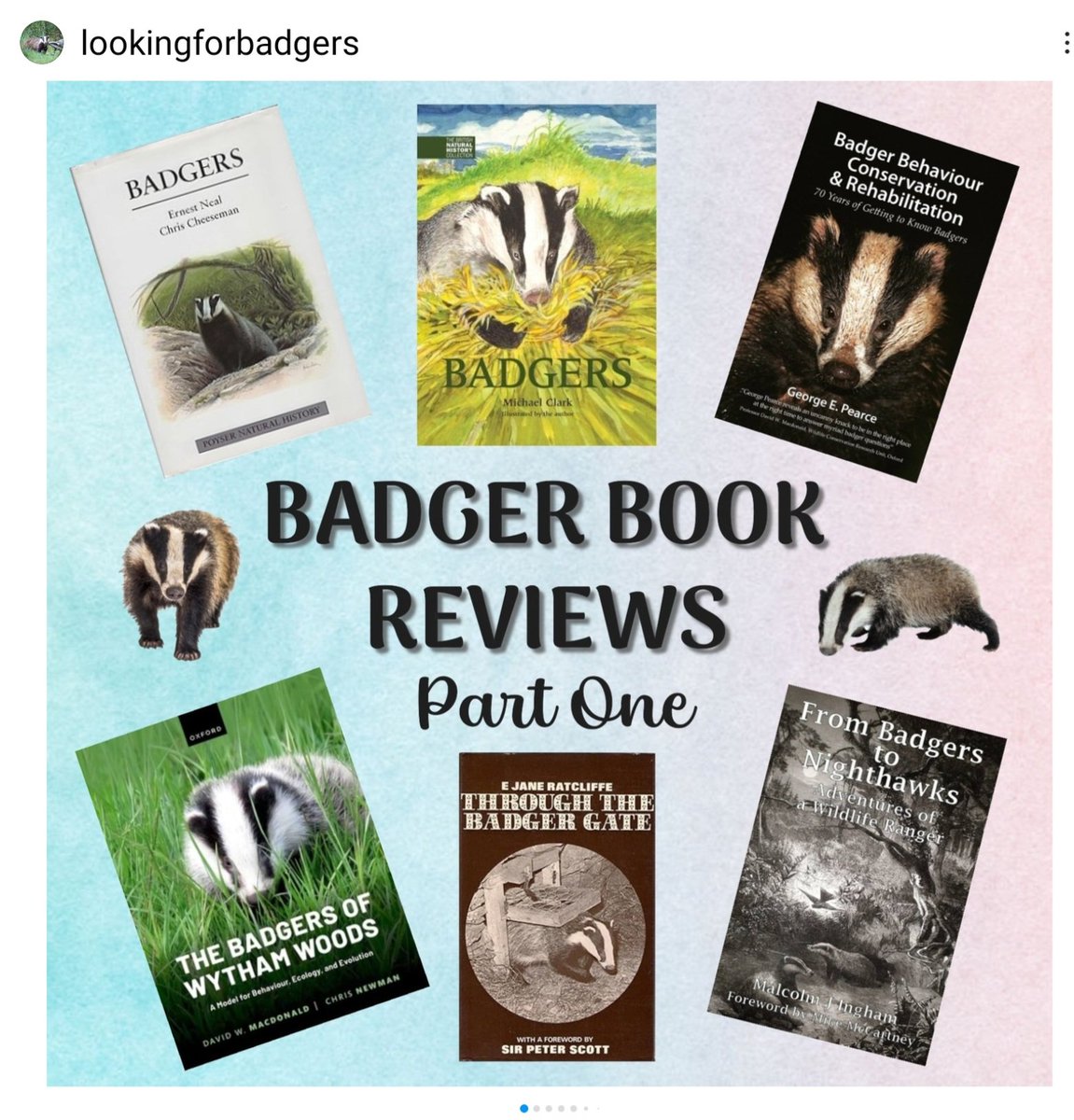 Mal Ingham tweet media