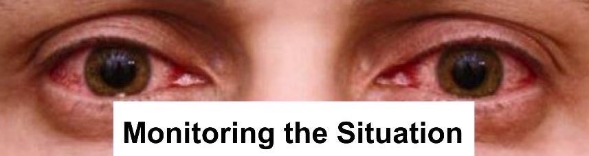 Profit Maxis tweet media