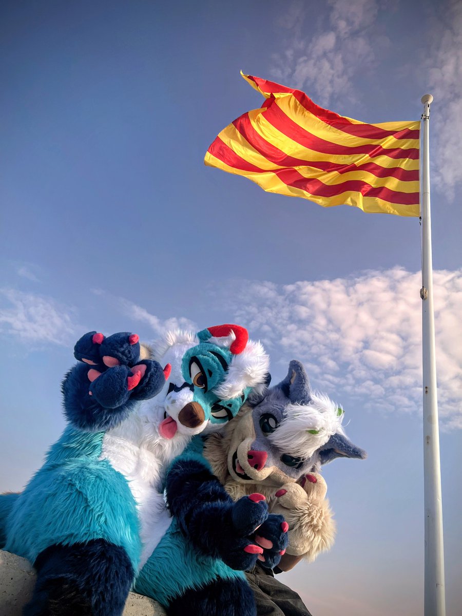 Andoru🏳️‍⚧️ 🌿 tweet media