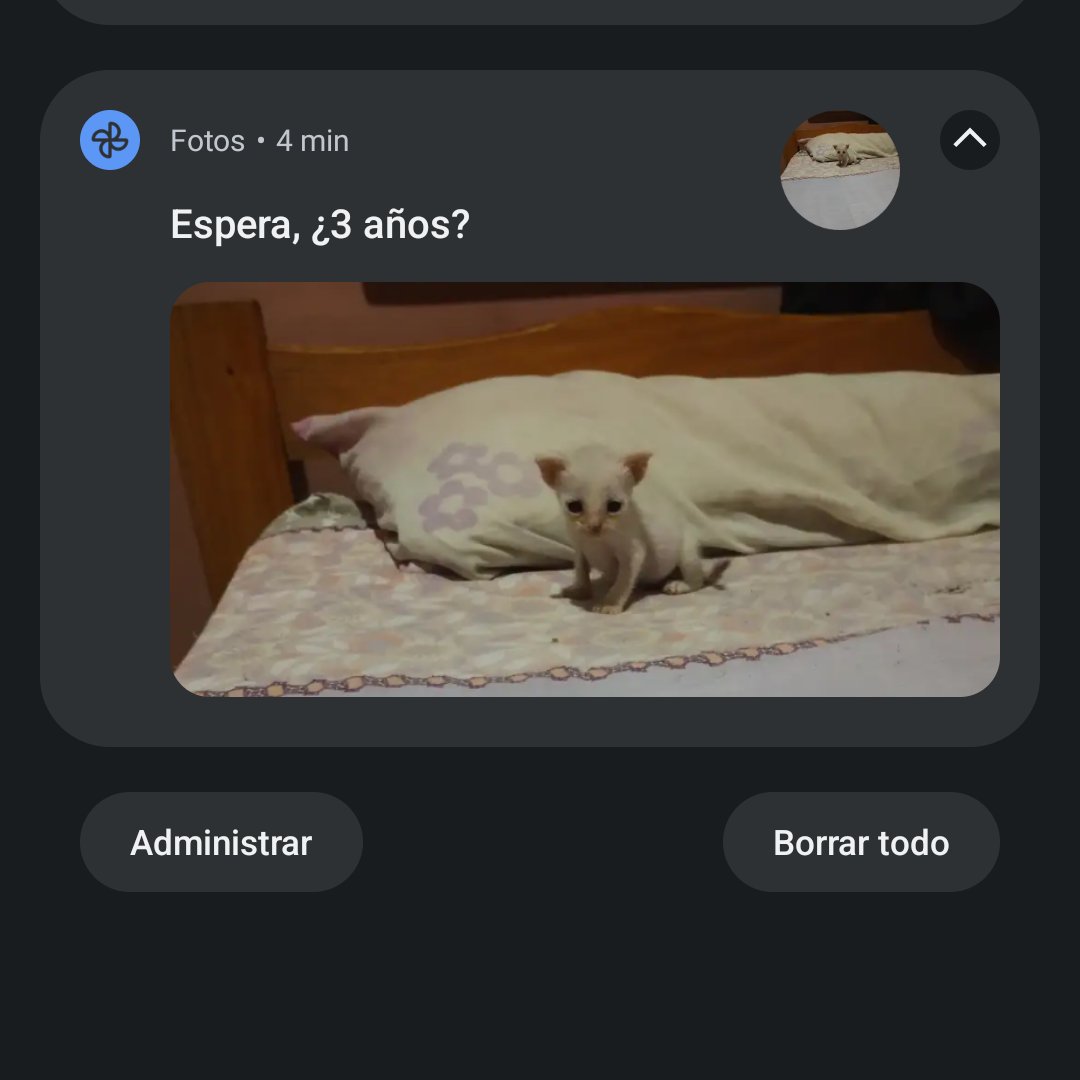 zephyrxnthes's tweet photo. no me podes hacer esto https://t.co/PmKUQyUavO
