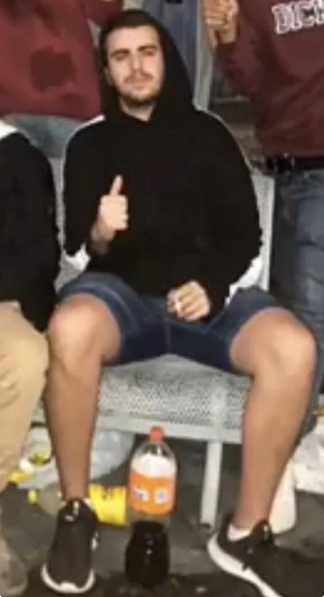 StarPlatinum tweet media