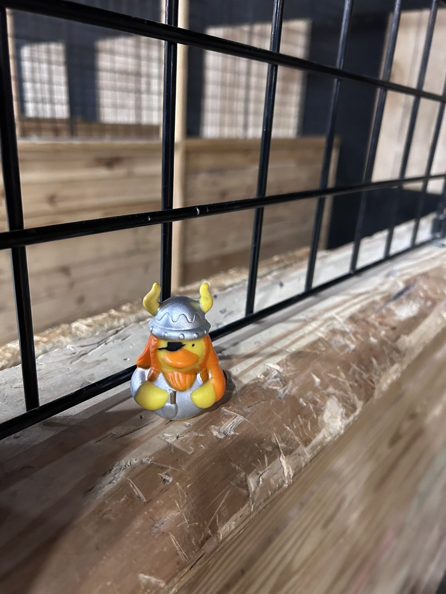 Colby Robertson tweet media