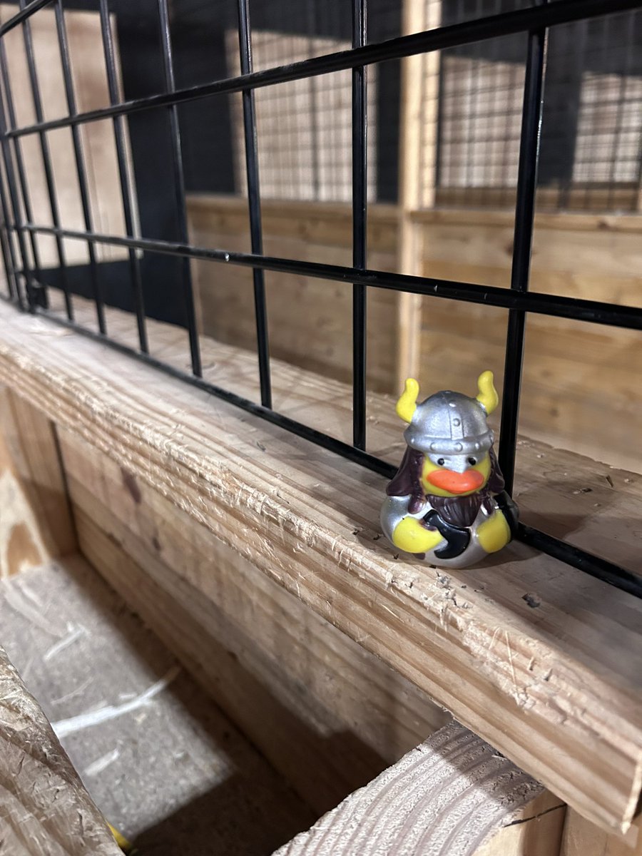 Colby Robertson tweet media