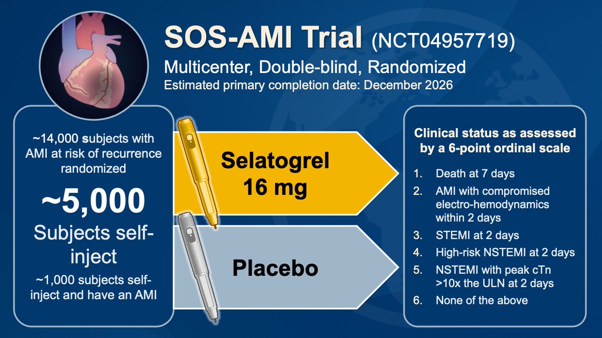 Davide Capodanno tweet media