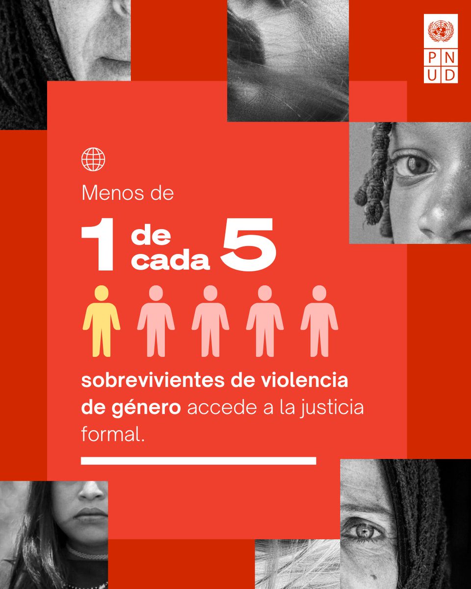 ONU Desarrollo tweet media