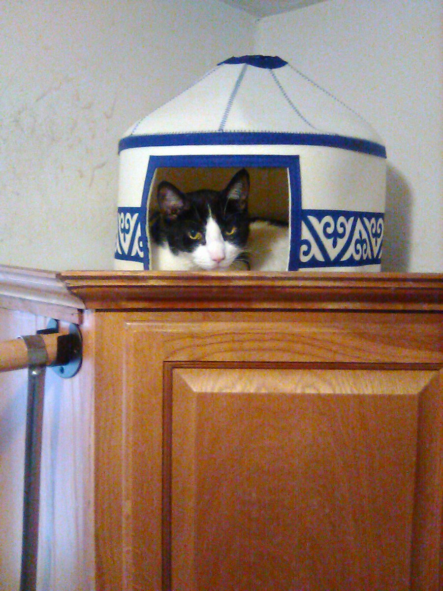 💜💜🎀 ȶɦɛ ȶɦɨռӄɛʀ🎀 💜💜 tweet media