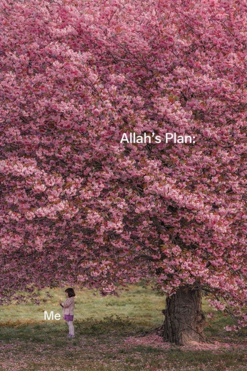 Alquranconnect's tweet photo. Dear soul, Allah’s plan is bigger than what you see. https://t.co/sOEqZnMgR7