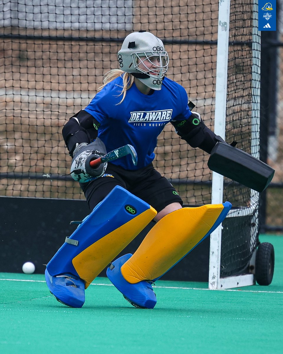 Delaware Field Hockey tweet media