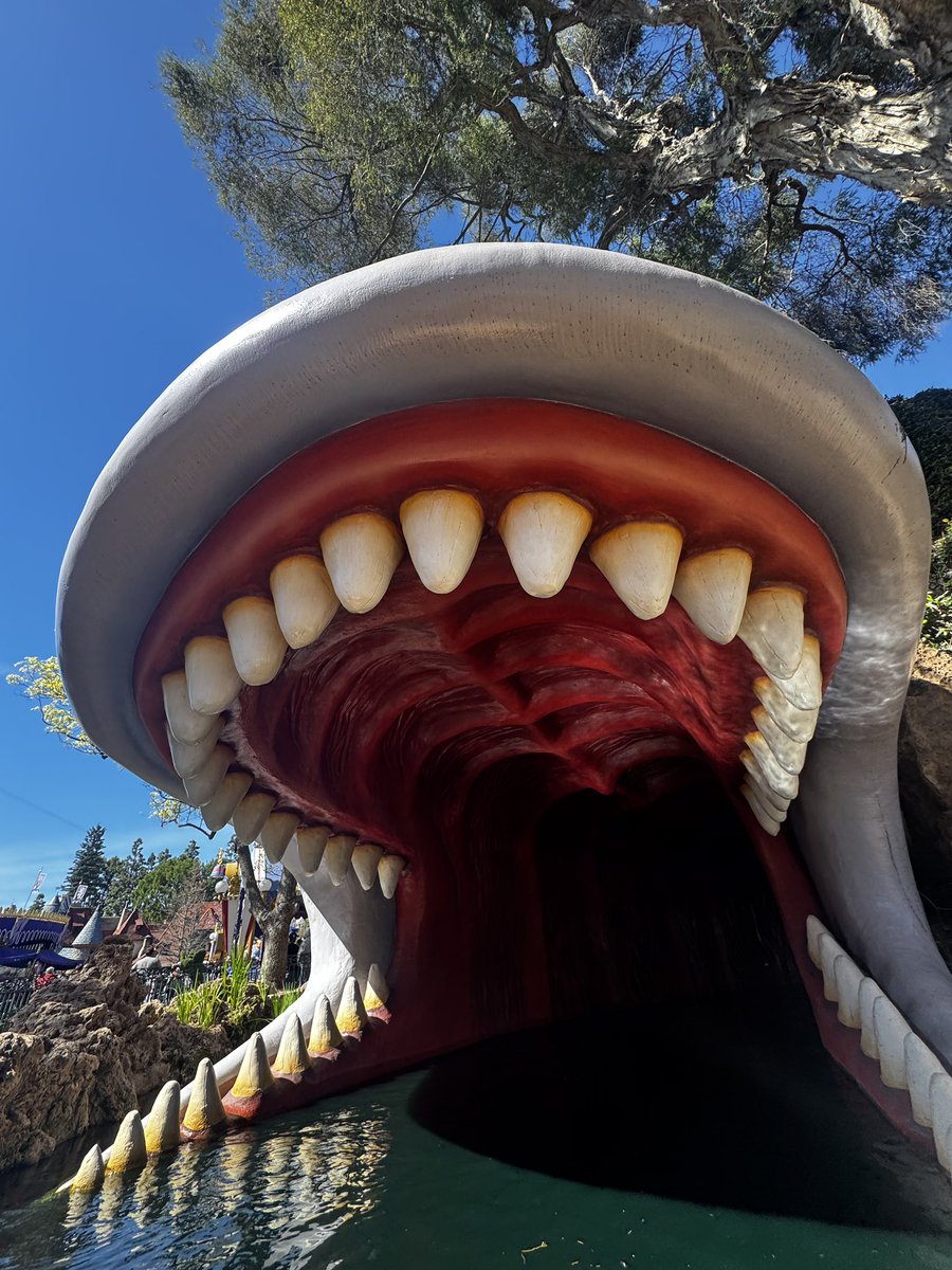peeeej's tweet photo. What my dentist sees https://t.co/regpfBpQ8c
