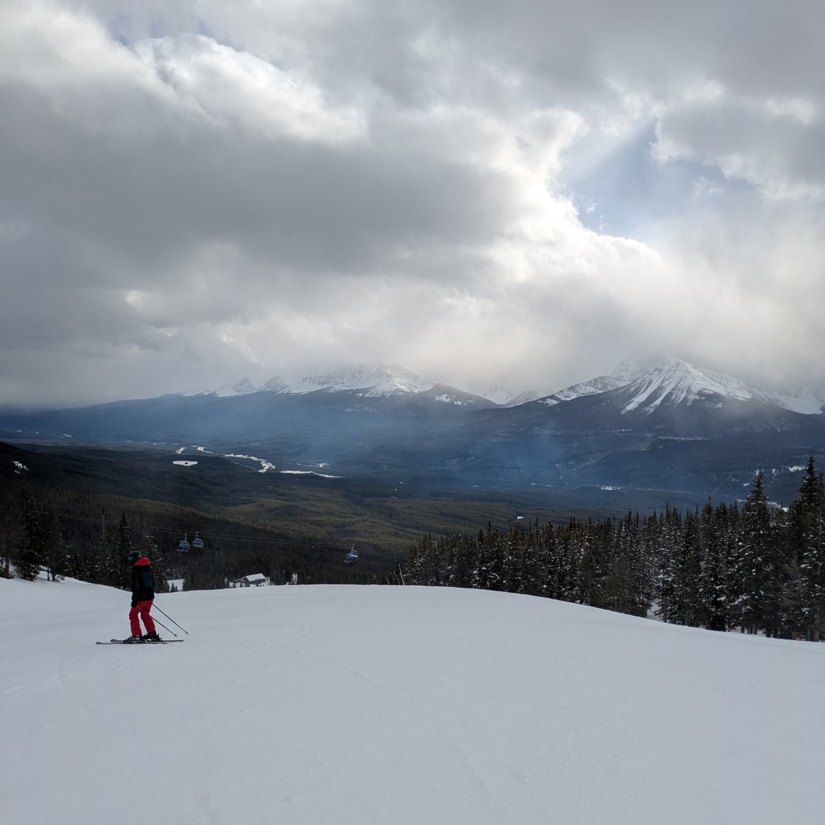 Accelerate Fund tweet media