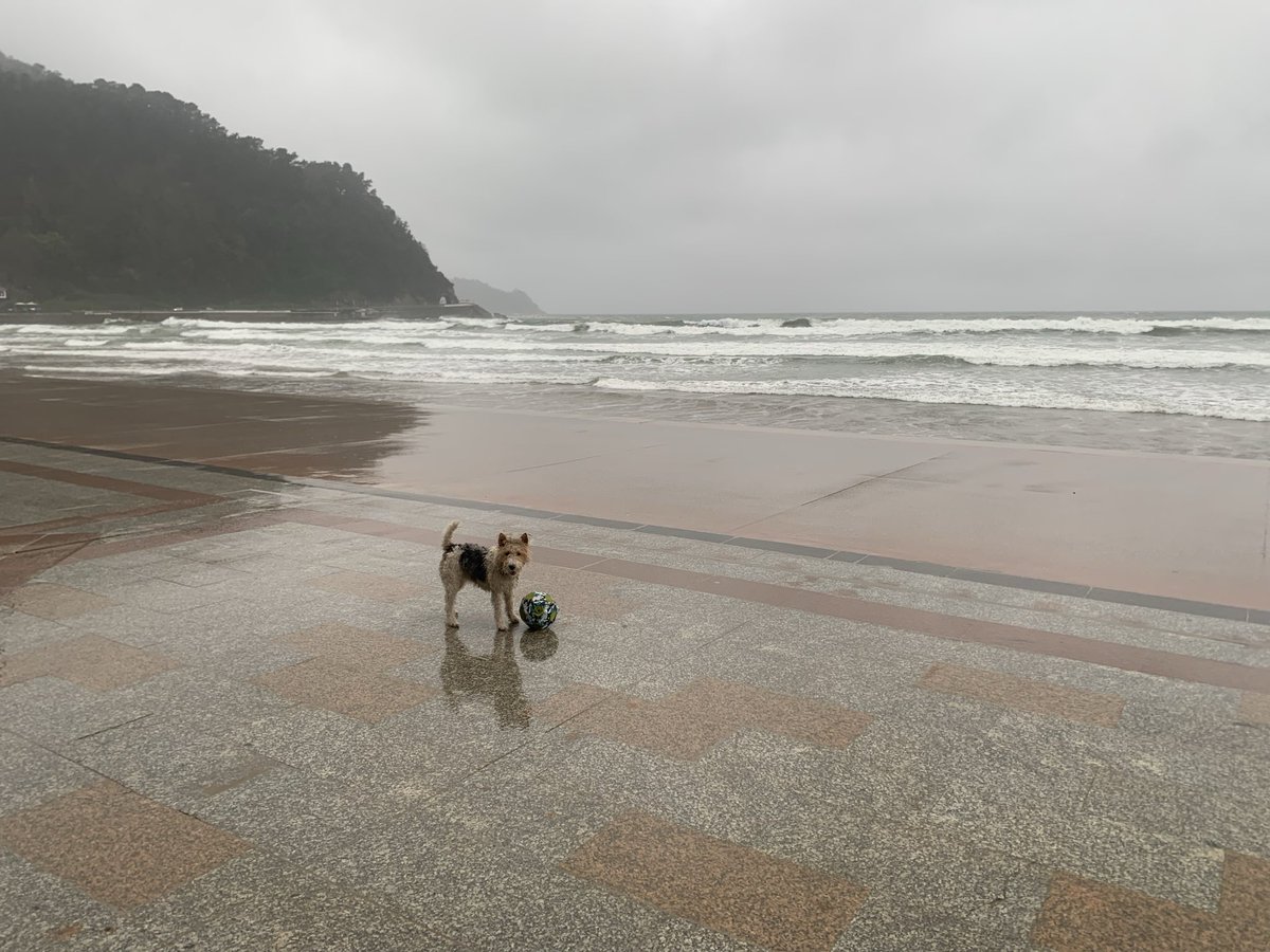 Josef Kvasnička tweet media