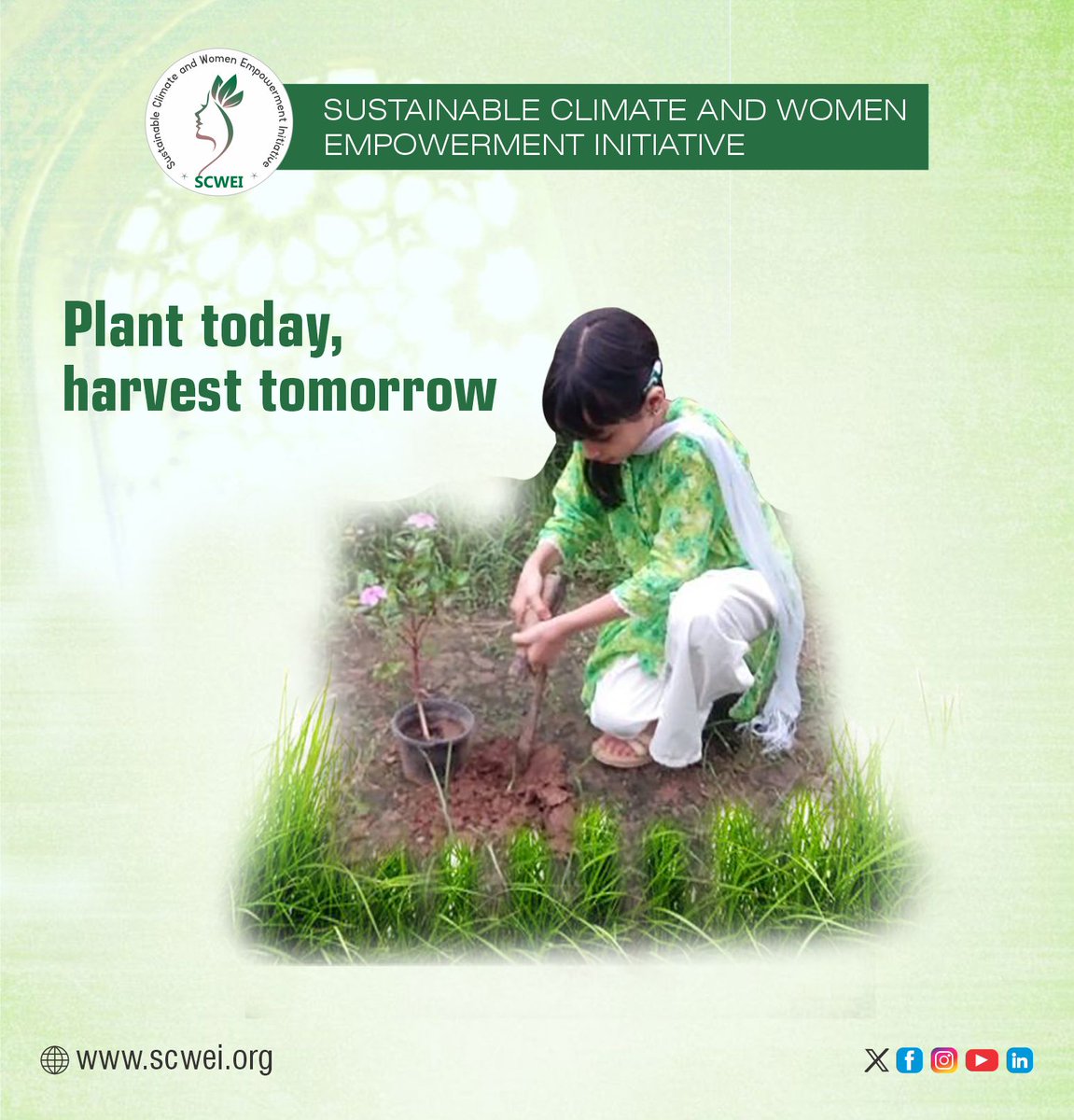 Women4Climate's tweet photo. #ClimateAction #ClimateChange #ClimateResilience #Sustainability #EnvironmentalSustainability #NatureBasedSolutions #Reforestation #TreePlantation #GreenFuture #ClimateLeadership #SustainableDevelopment #ActForClimate https://t.co/MHKGmMiWls