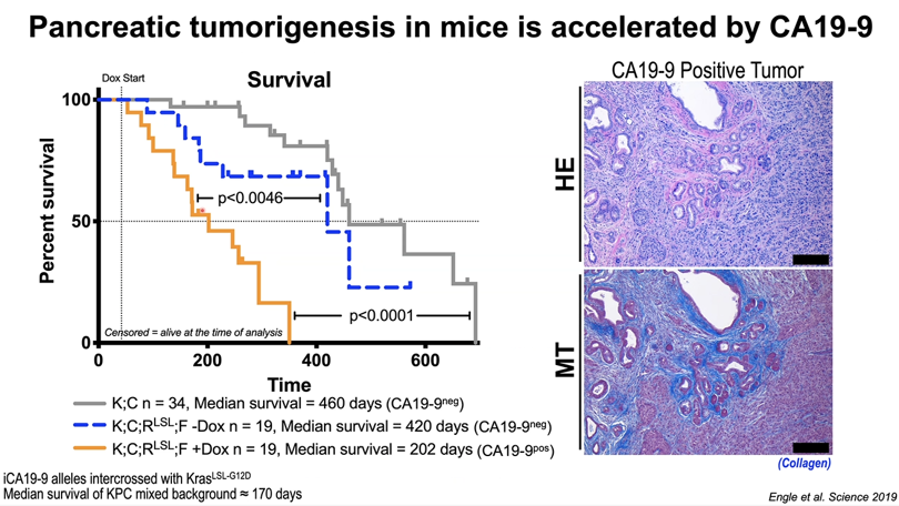 Acquired Resistance to Therapy Network (ARTNet) tweet media
