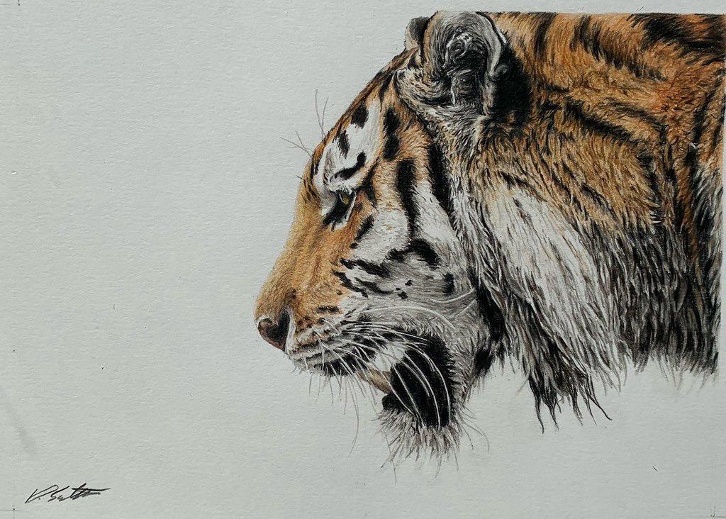 David Salter tweet media