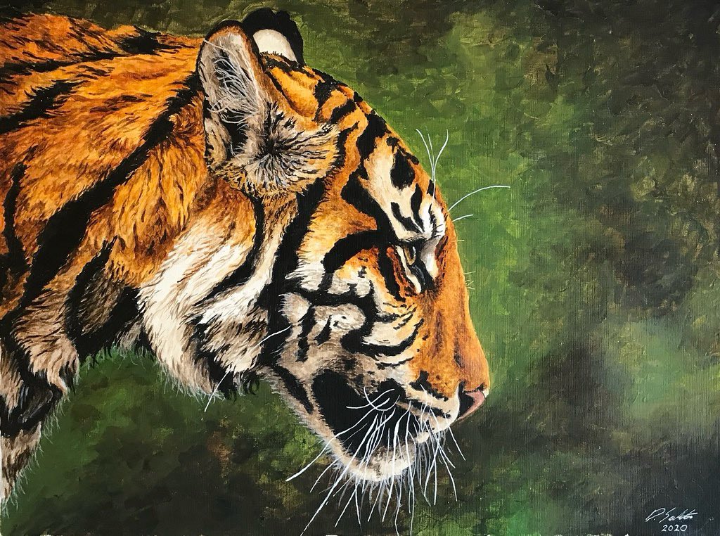 David Salter tweet media