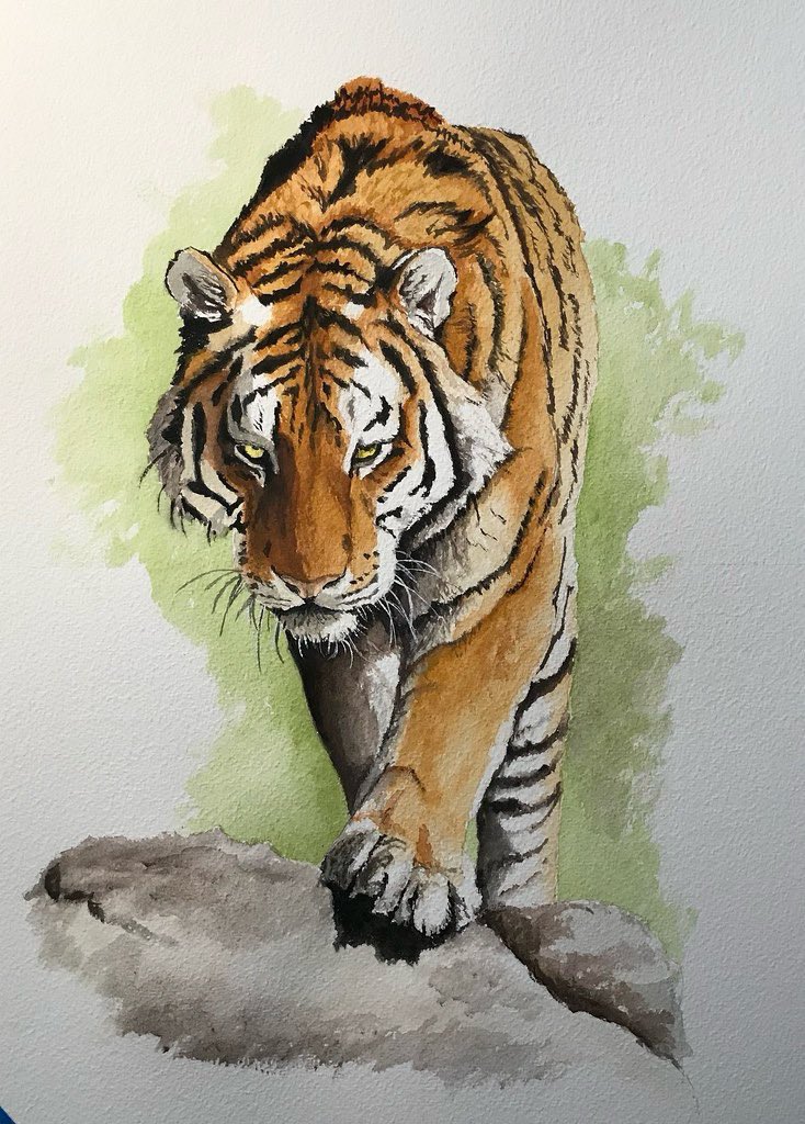 David Salter tweet media