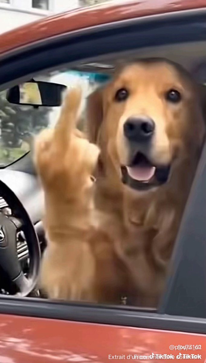 Alex🔥 tweet media