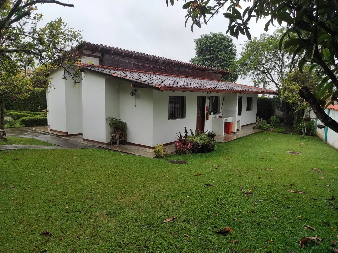 Venezuelensis Andium Venustas Aesthetics tweet media