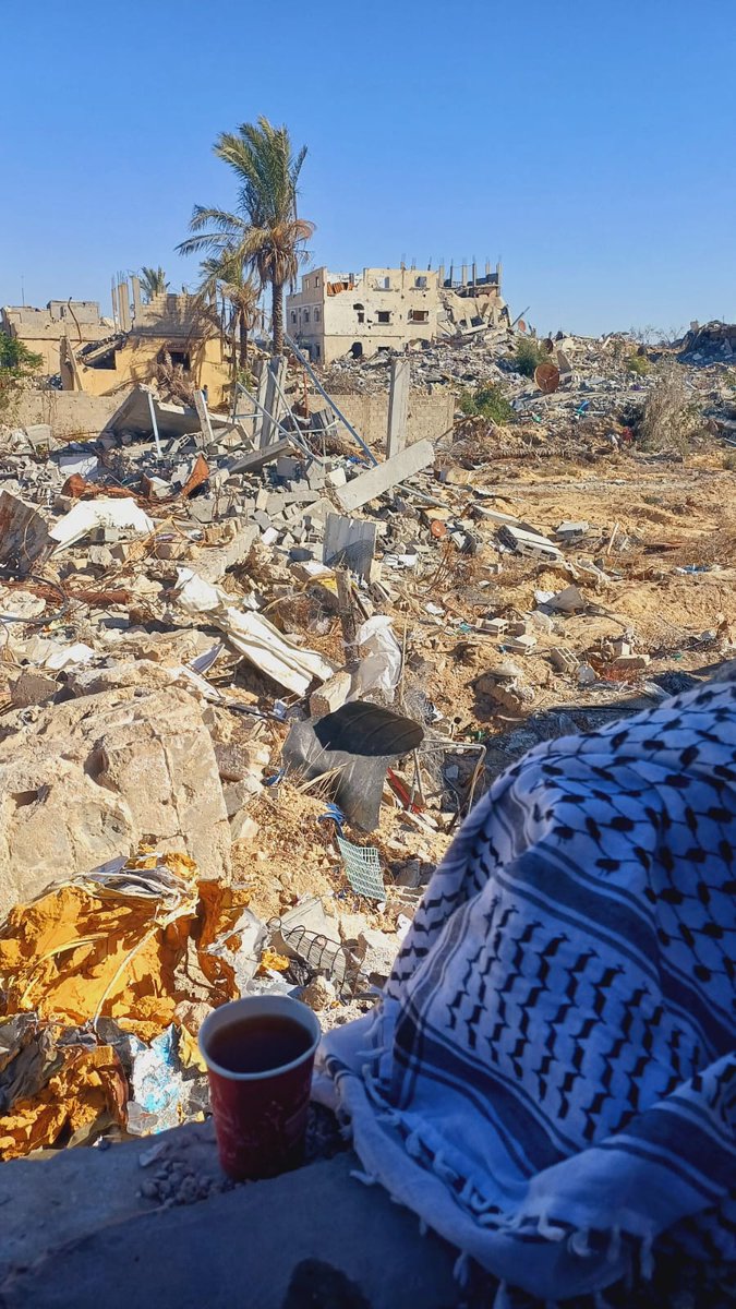 وِجدَان 𓂆🪻 tweet media