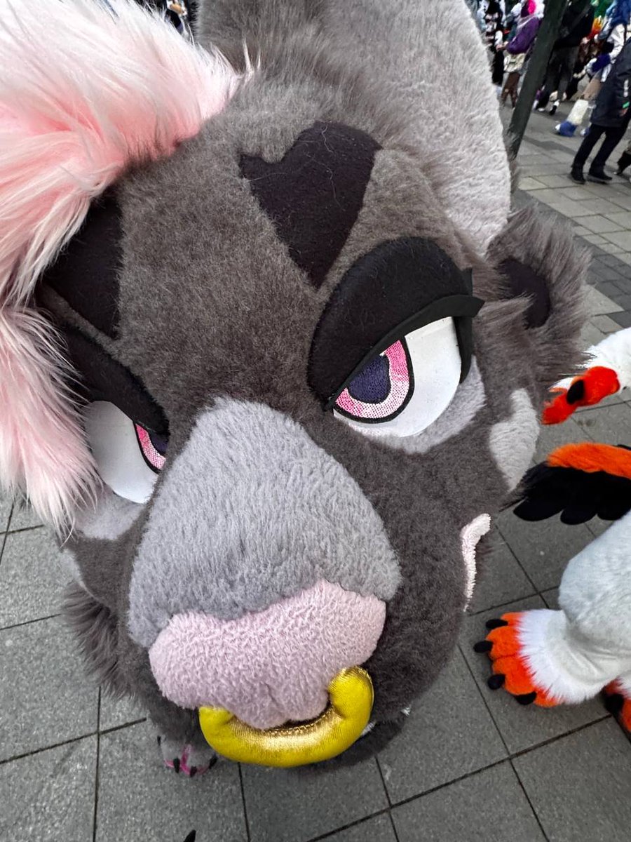 𝖓 𝖔 𝖓 𝖆 🦇 tweet media