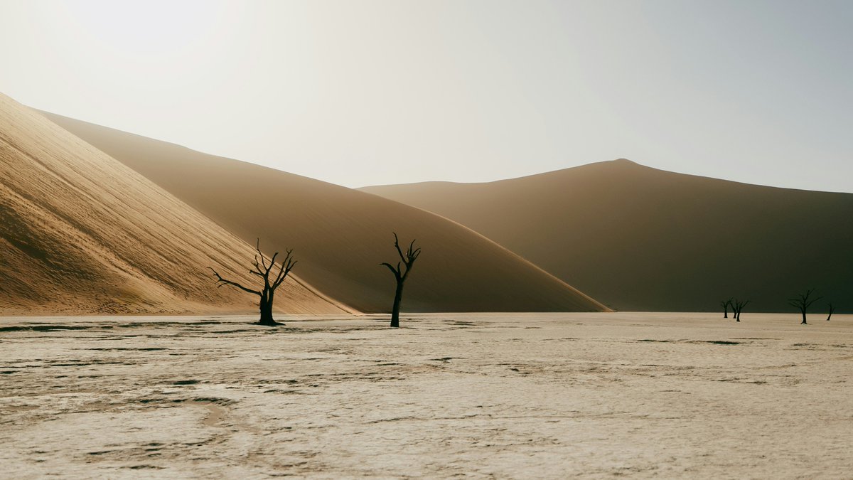 Unsplash tweet media