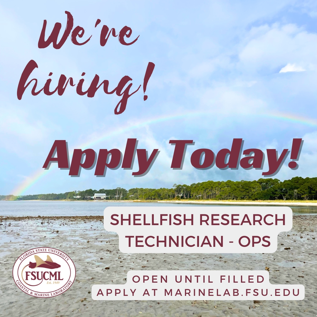 FSU Coastal & Marine Lab tweet media