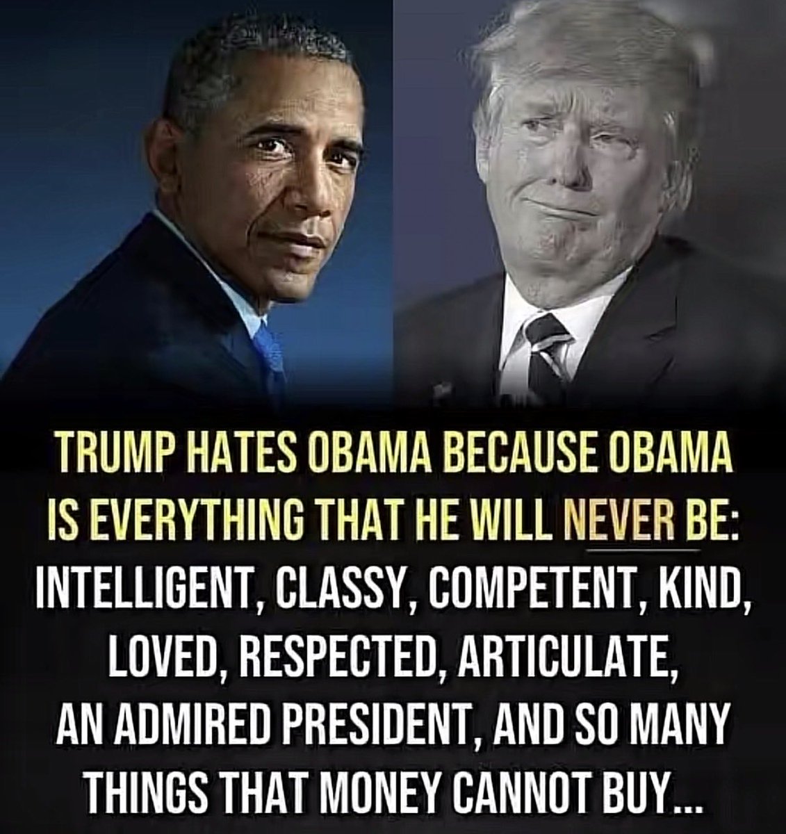 Not Your Average Liberal tweet media
