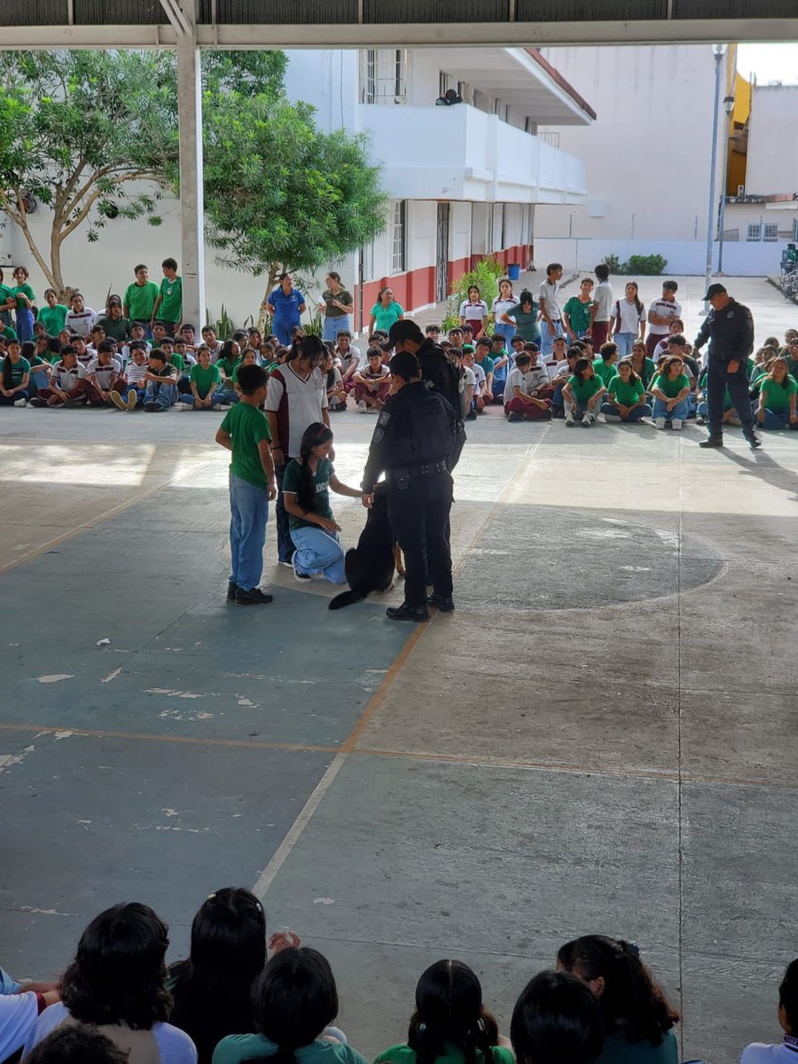 SSC Playa del Carmen tweet media