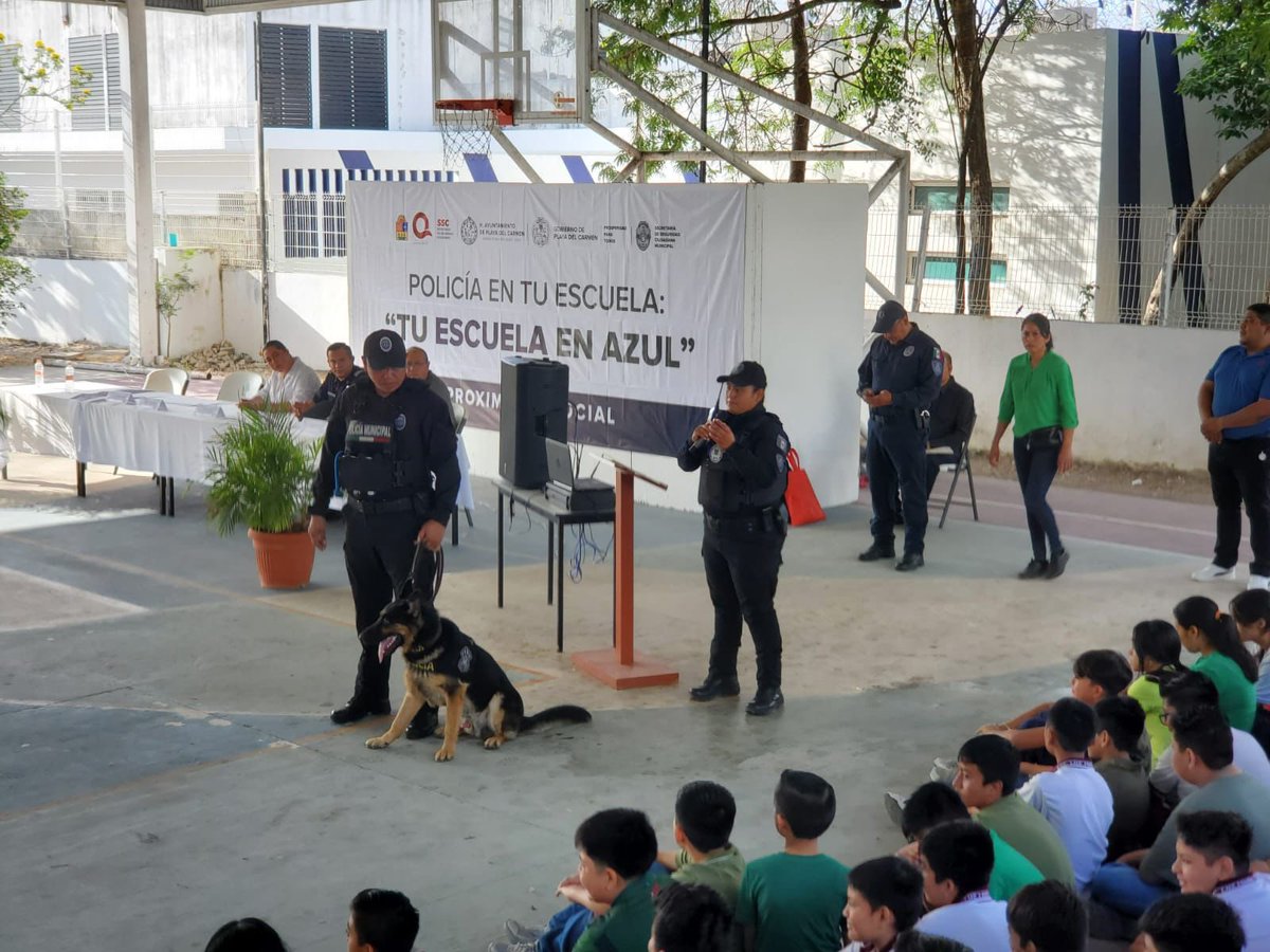 SSC Playa del Carmen tweet media