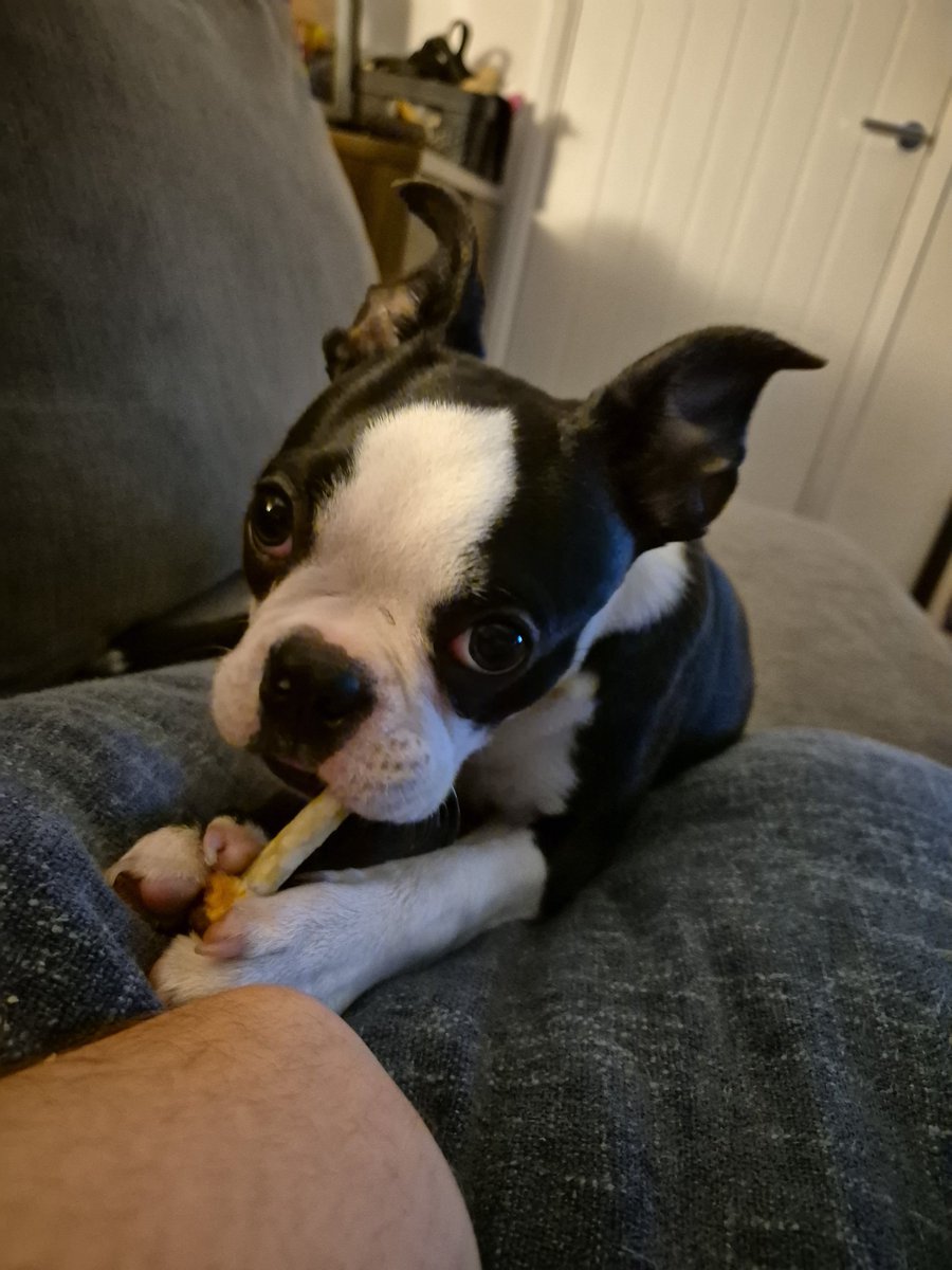 Vonbedda 🇬🇧 tweet media