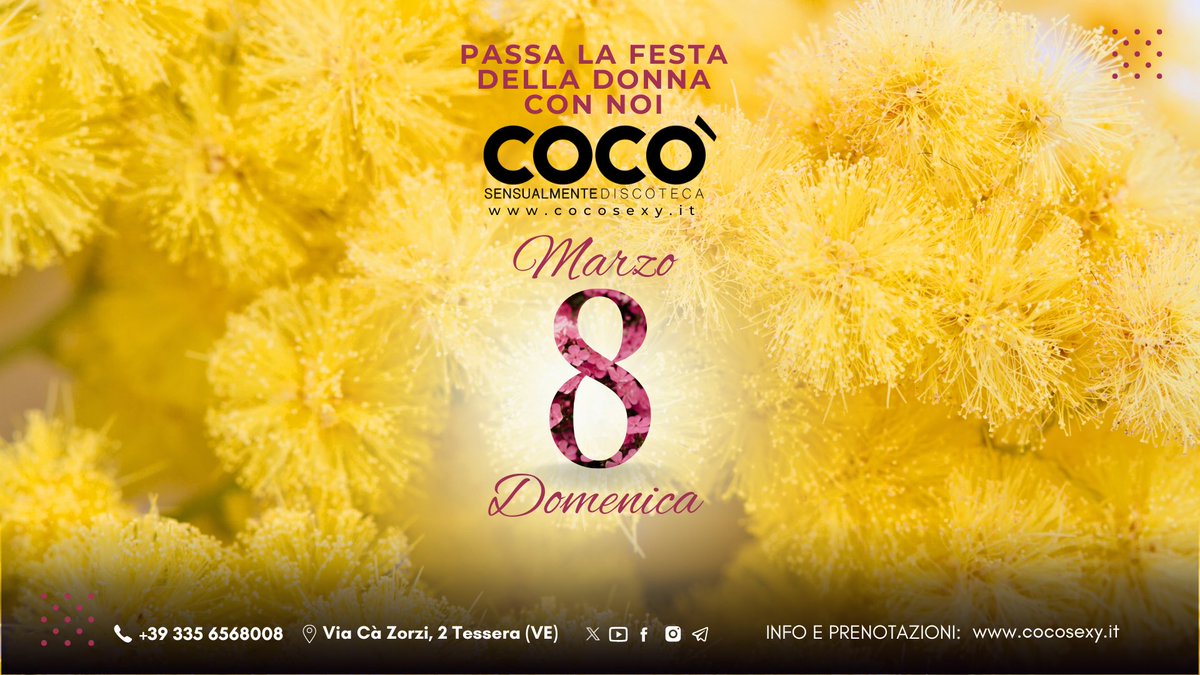 Coco lapdance (@cocolapdance) on Twitter photo 