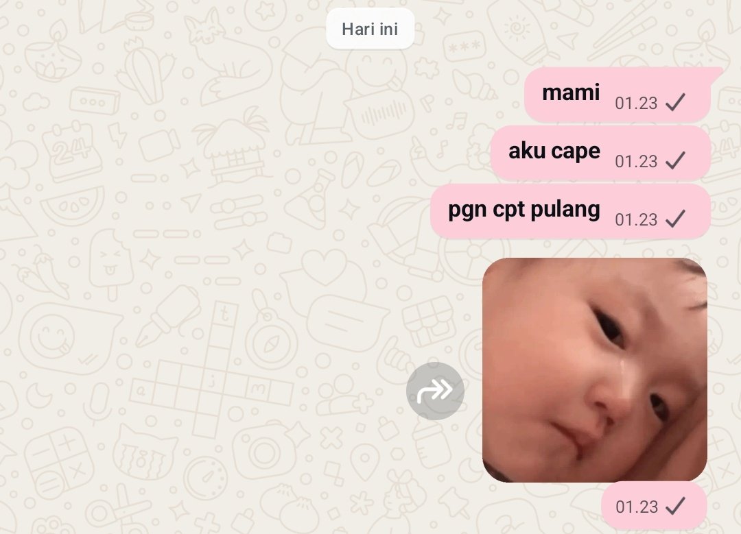 bubb 🐙 tweet media