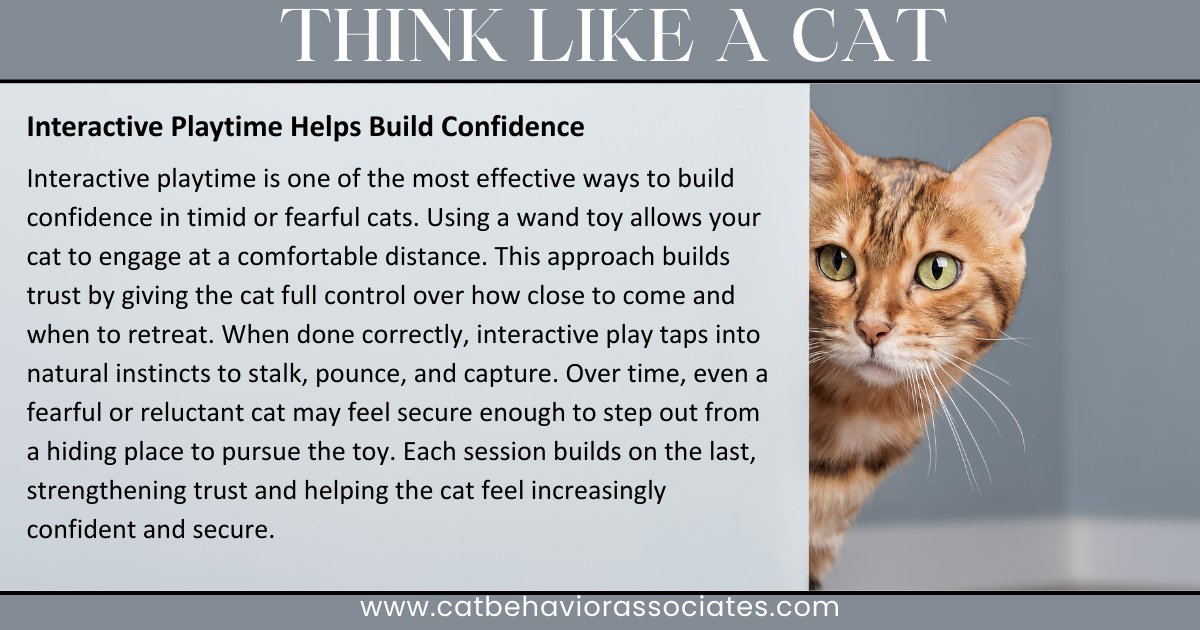 Pam Johnson-Bennett tweet media