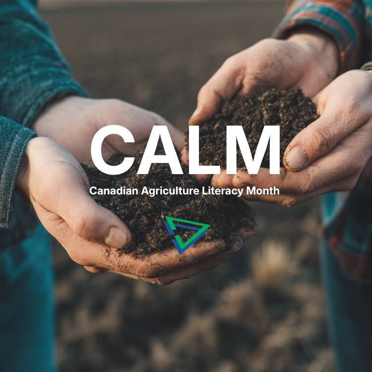 Tronia Systems Ltd. tweet media